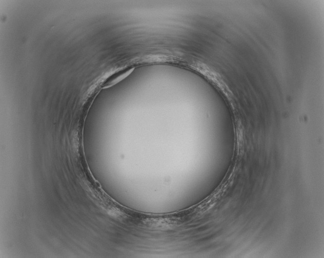 X0000072970297200608111723