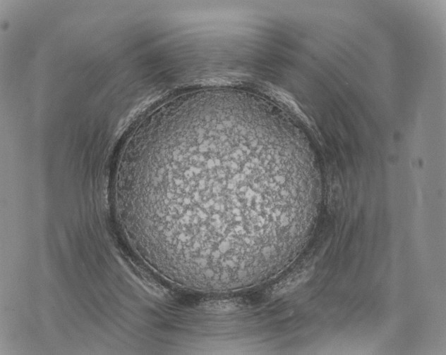 X0000072970299200608111723