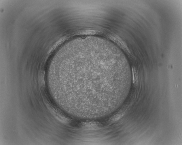 X0000072970300200608111723