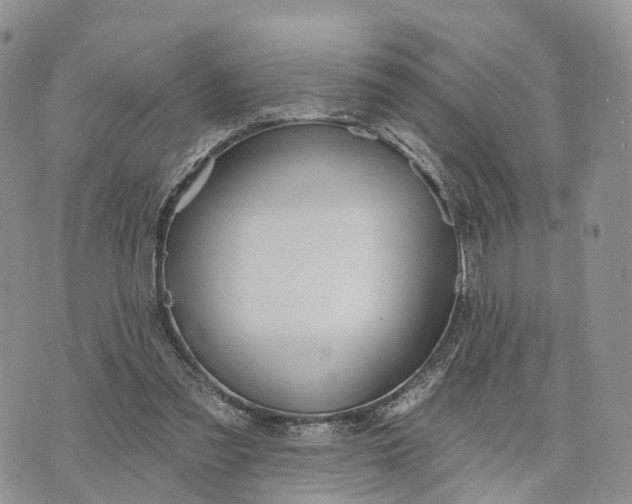 X0000072970301200608111723