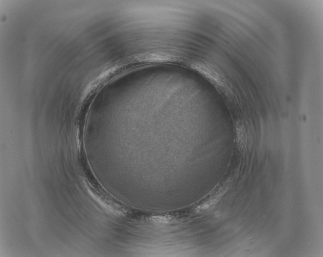 X0000072970302200608111723