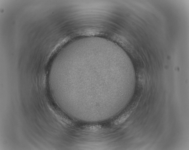 X0000072970304200608111723