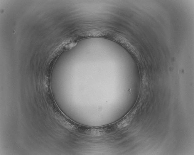 X0000072970305200608111723