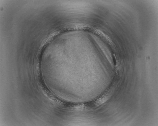 X0000072970306200608111723