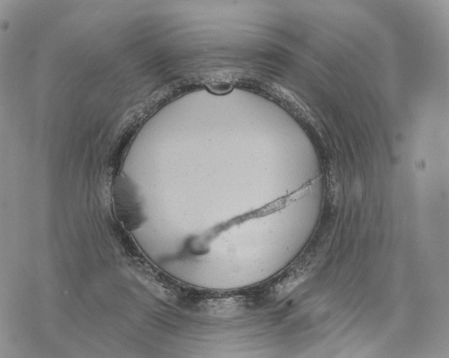 X0000072970307200608111723