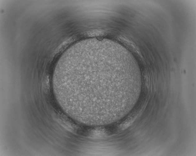 X0000072970308200608111723