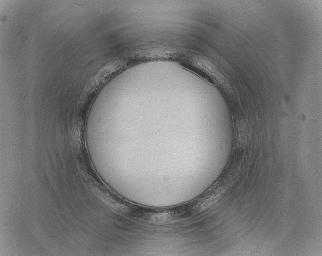 X0000072970309200608111723