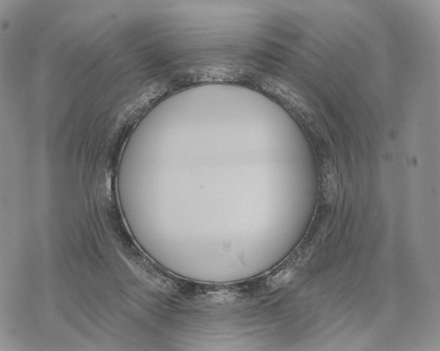 X0000072970310200608111723