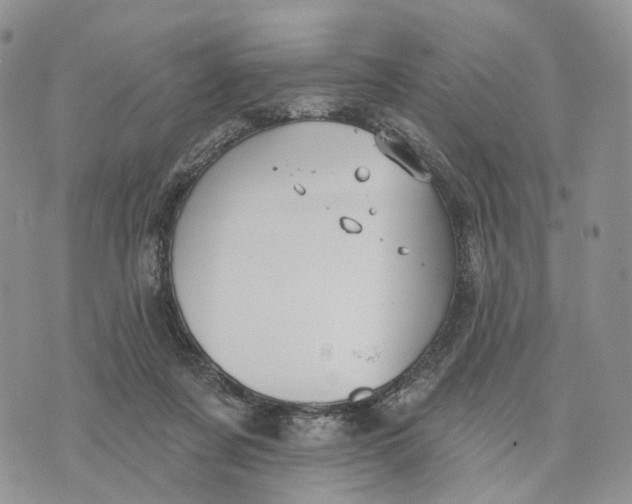 X0000072970311200608111723