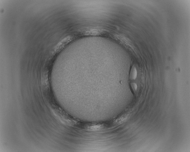 X0000072970312200608111723