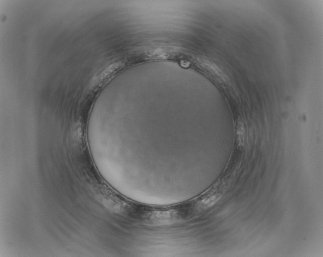 X0000072970314200608111723