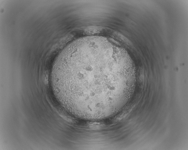 X0000072970315200608111723