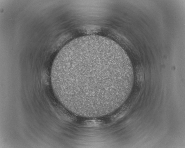 X0000072970316200608111723