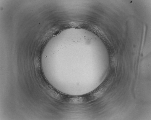 X0000072970317200608111723