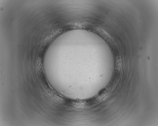 X0000072970318200608111723