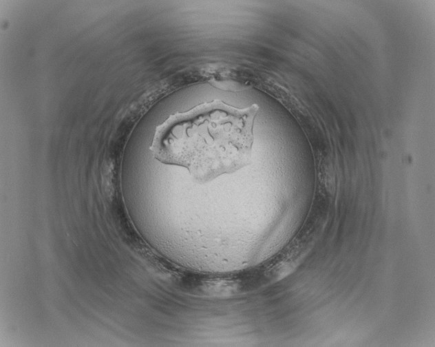 X0000072970319200608111723