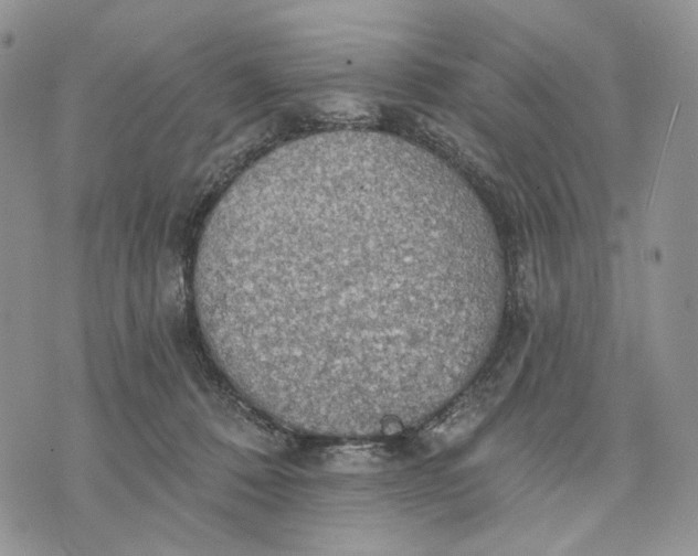 X0000072970320200608111723