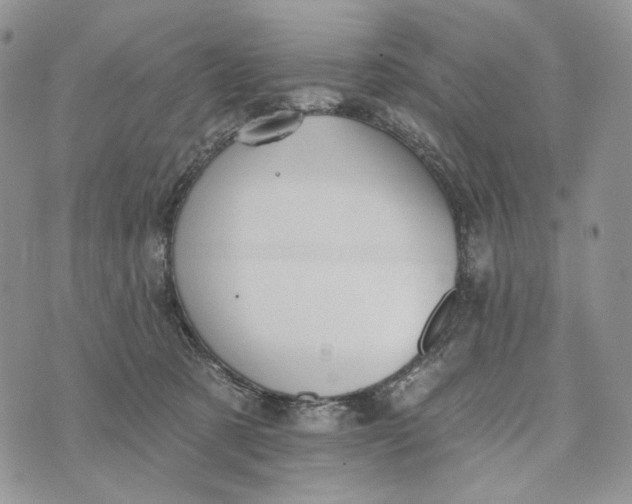 X0000072970321200608111723