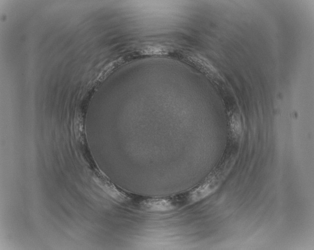 X0000072970322200608111722