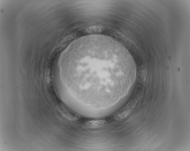 X0000072970323200608111722