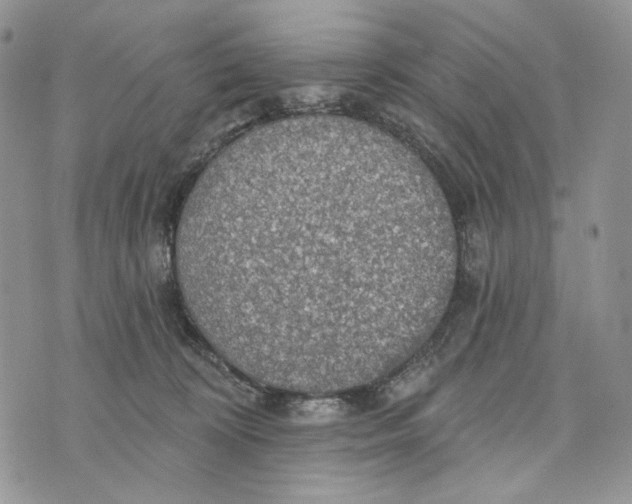 X0000072970324200608111722