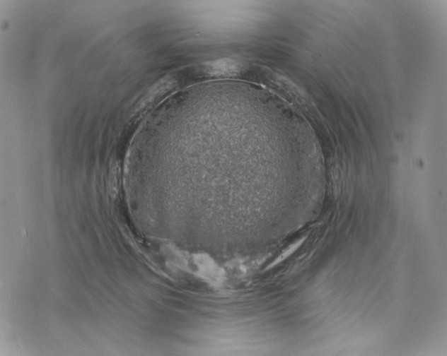 X0000072970325200608111722