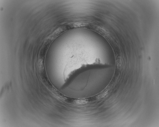 X0000072970327200608111722