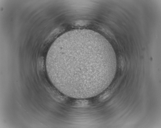 X0000072970328200608111722