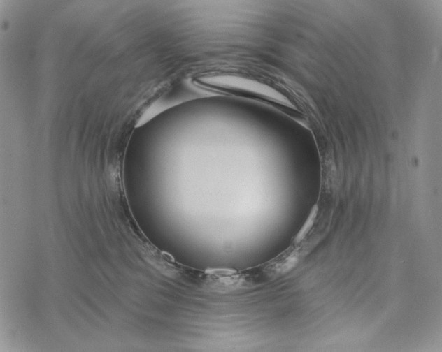 X0000072970329200608111722