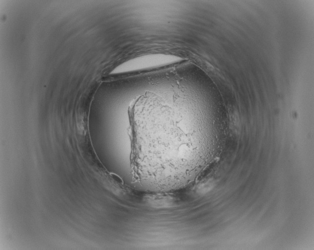 X0000072970331200608111722