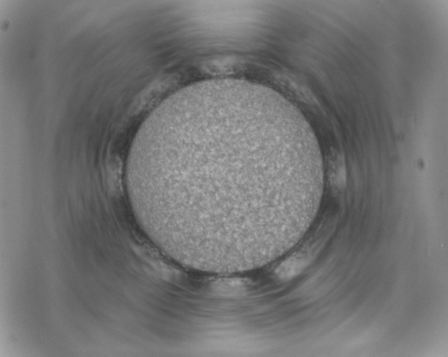 X0000072970332200608111722