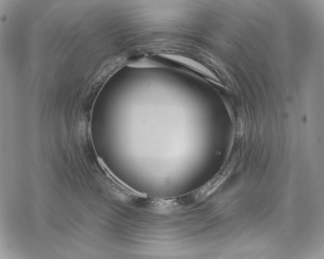 X0000072970333200608111722