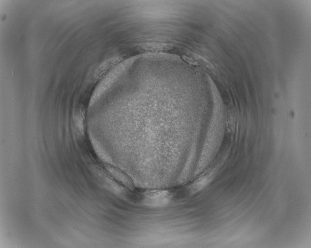 X0000072970334200608111722