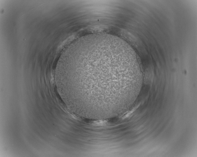 X0000072970335200608111722