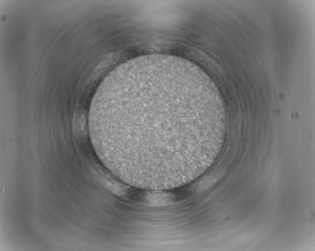 X0000072970336200608111722