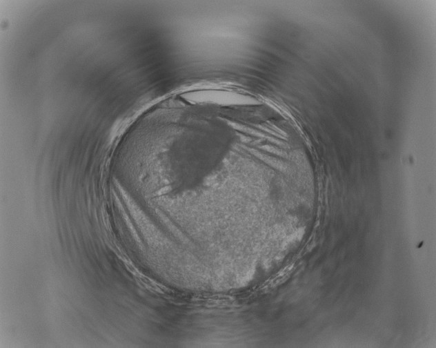 X0000072970337200608111721