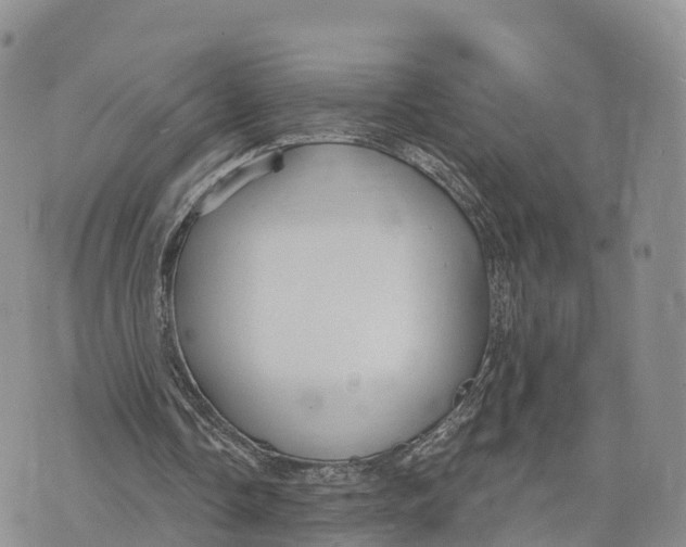 X0000072970338200608111721