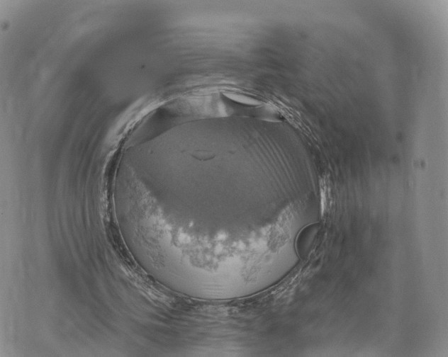 X0000072970339200608111722