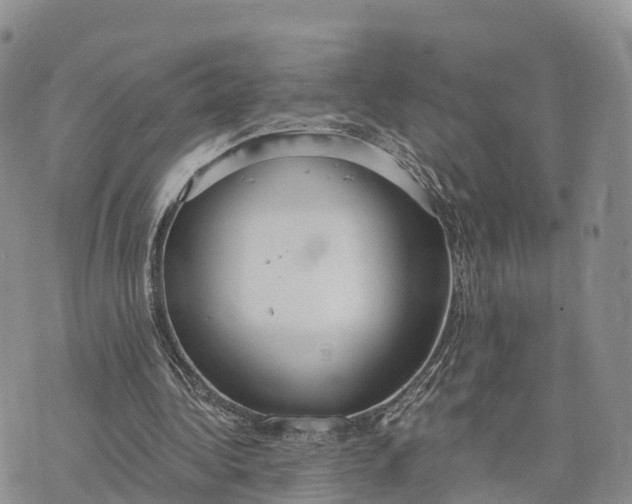 X0000072970340200608111722