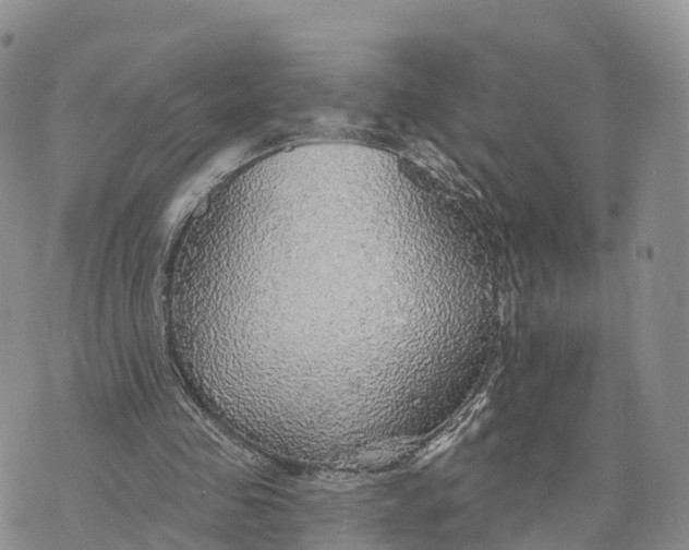 X0000072970341200608111722