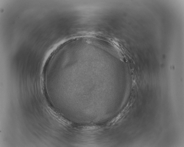 X0000072970342200608111722