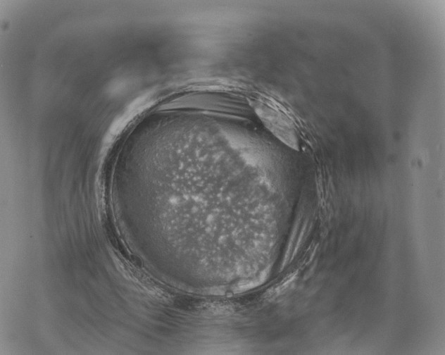 X0000072970343200608111722