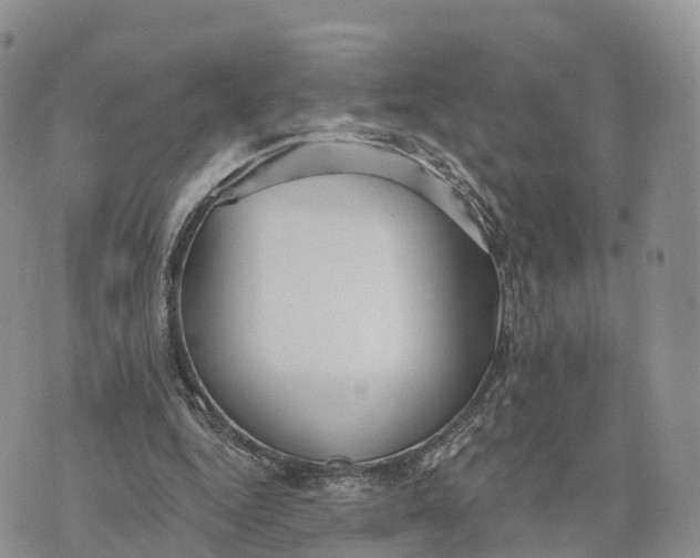 X0000072970344200608111722