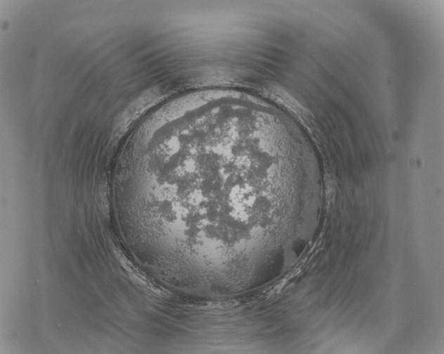 X0000072970345200608111722