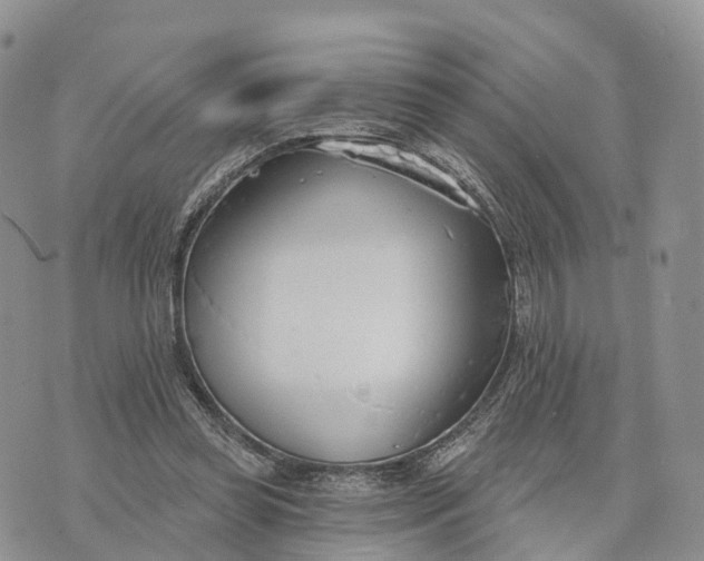 X0000072970349200608111722