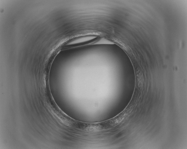 X0000072970350200608111722