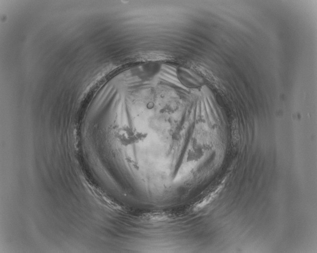 X0000072970351200608111722