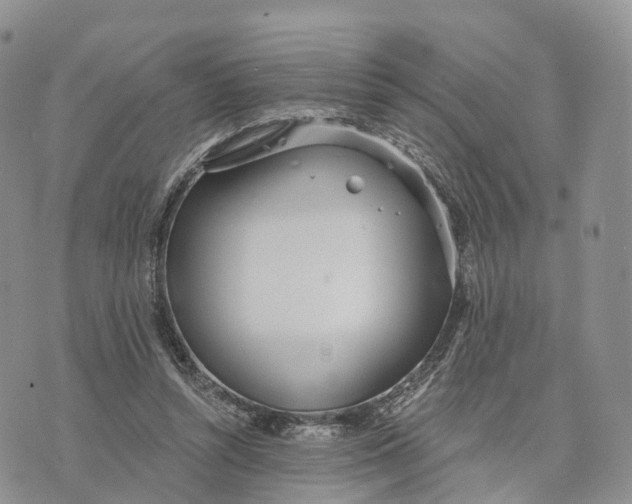 X0000072970352200608111722