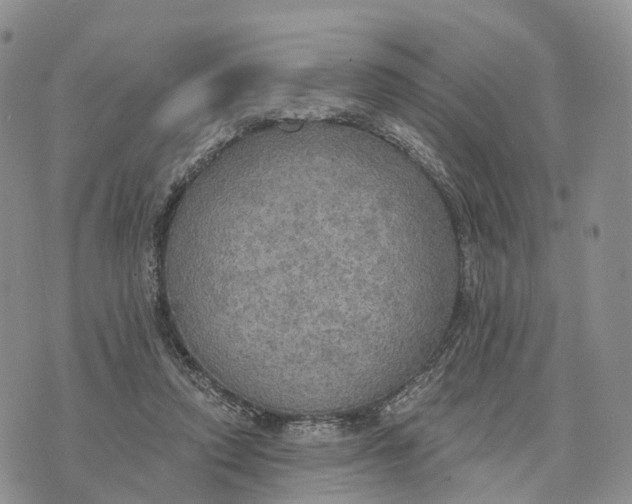 X0000072970354200608111722