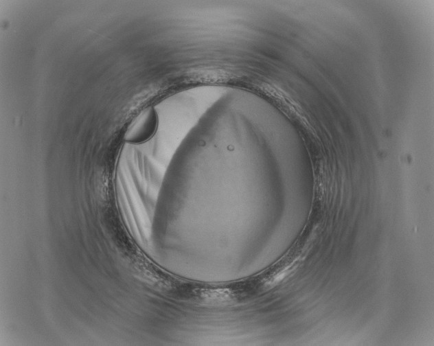 X0000072970355200608111722